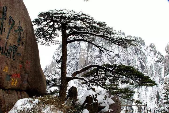 雪后黃山風(fēng)景宛如人間仙境，舞一曲雪中霓裳羽