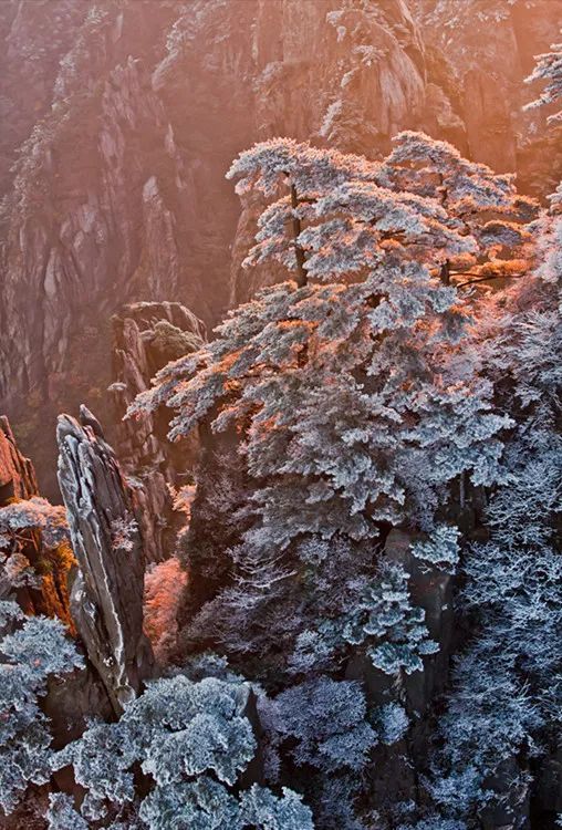 雪后黃山風(fēng)景宛如人間仙境，舞一曲雪中霓裳羽