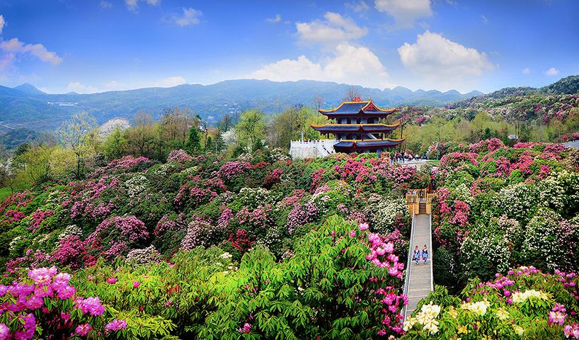 最美貴州風景，用山水風景點亮貴州文化！