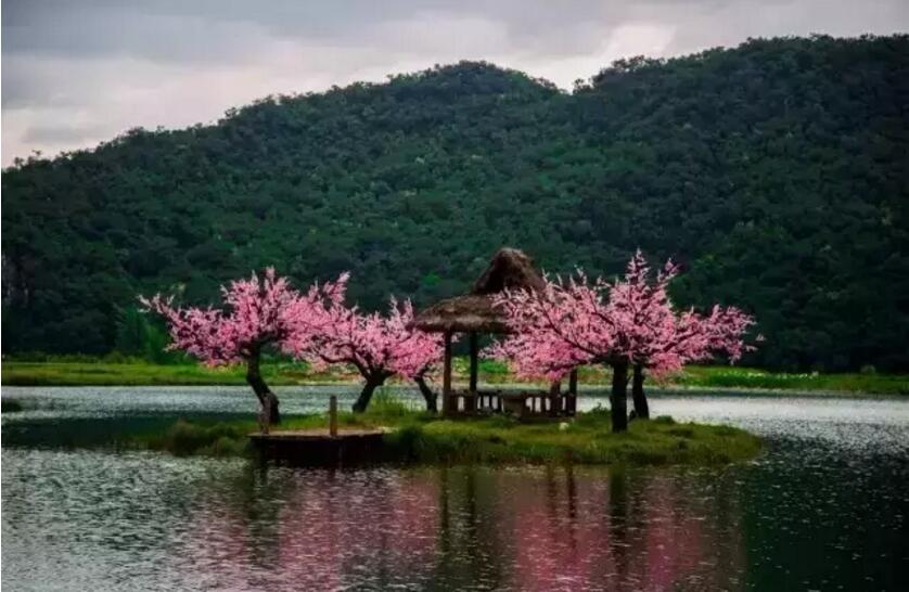 《三生三世十里桃花》的外景拍攝地！