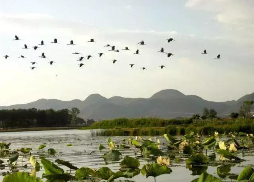 《三生三世十里桃花》的外景拍攝地！