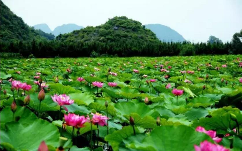 《三生三世十里桃花》的外景拍攝地！