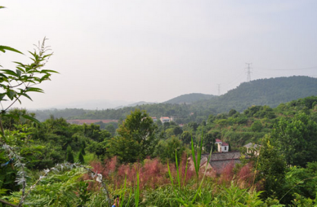 林彪祖墳風(fēng)水好嗎？揭秘林彪祖墳風(fēng)水