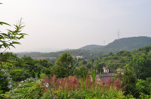 林彪祖墳風(fēng)水好嗎？揭秘林彪祖墳風(fēng)水