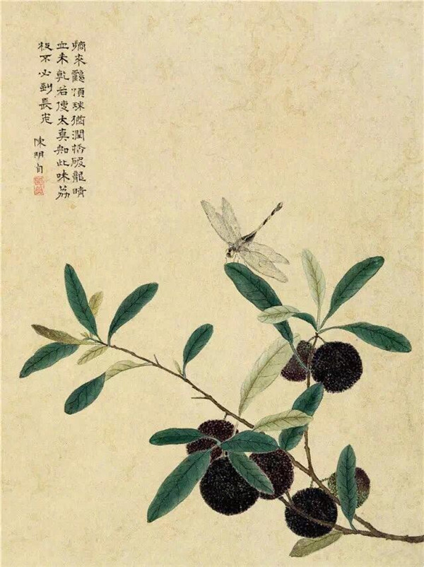 明清時(shí)代畫(huà)家陳明自繪畫(huà)的花卉動(dòng)物