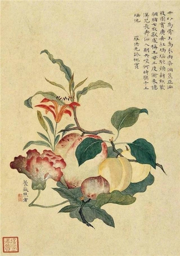 明清時(shí)代畫(huà)家陳明自繪畫(huà)的花卉動(dòng)物