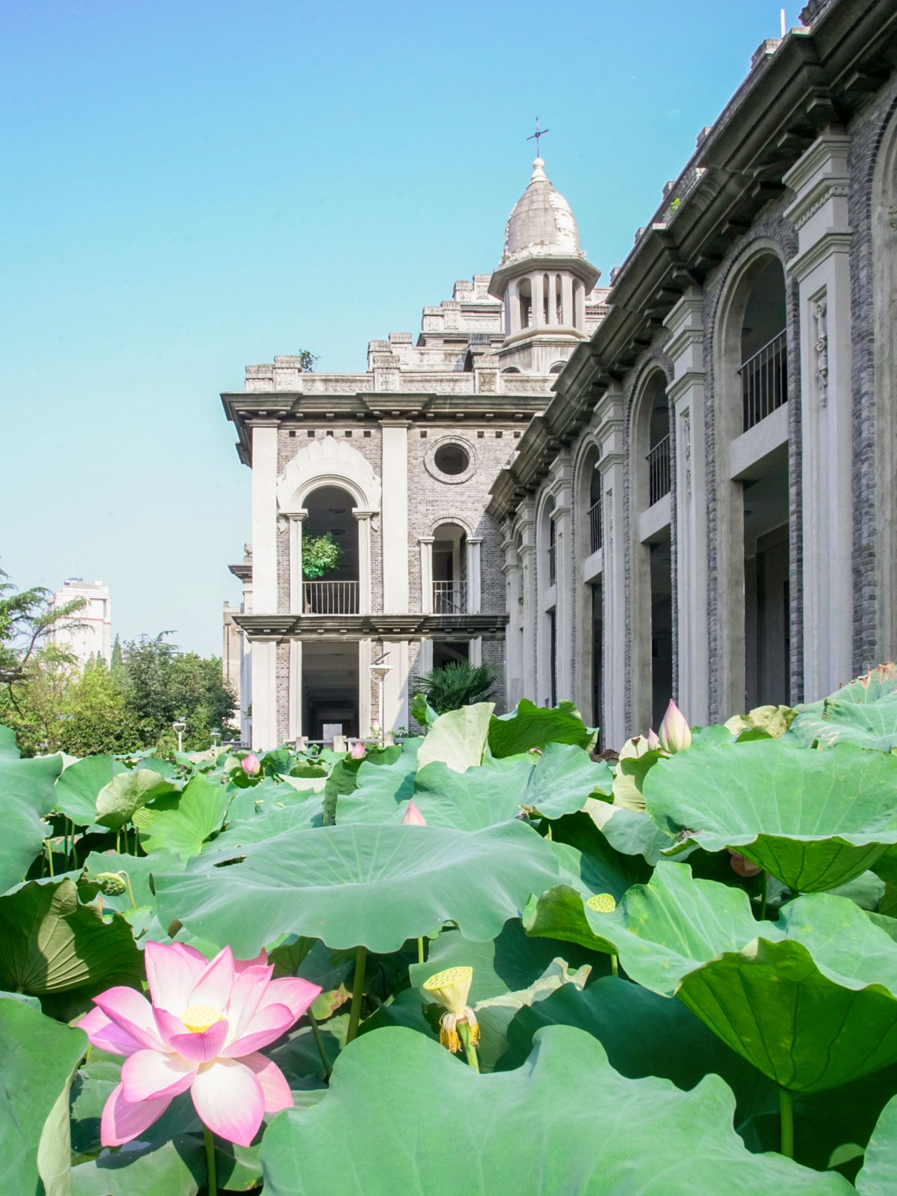 武漢鬧市的尼姑庵，全中國最美寺廟古德寺