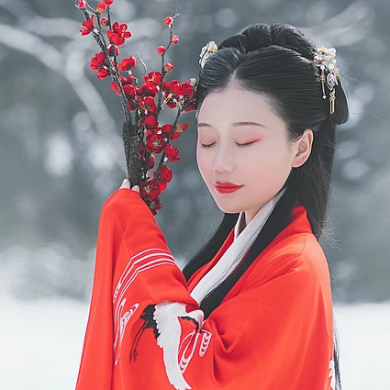 紅梅白雪彈琴女生頭像，唯美古風(fēng)真人頭像