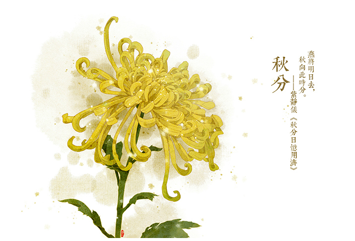 唯美的24節(jié)氣花卉插畫(huà)，品味古老的詩(shī)之清韻